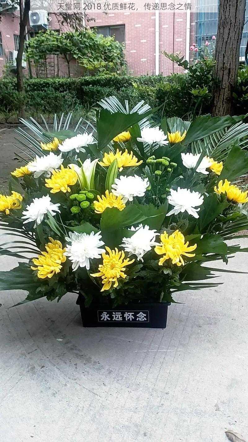 天堂网 2018 优质鲜花，传递思念之情