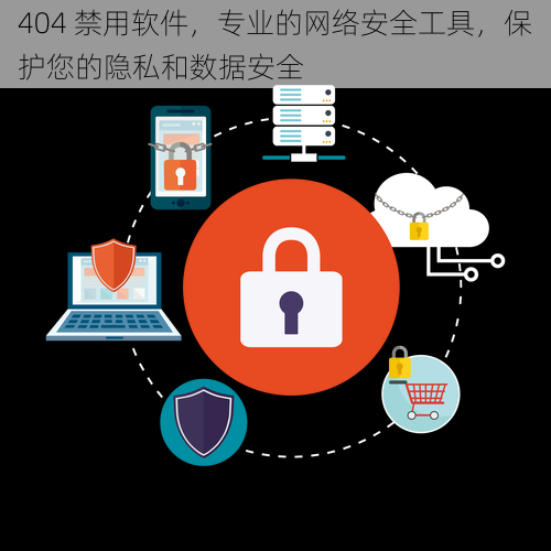 404 禁用软件，专业的网络安全工具，保护您的隐私和数据安全