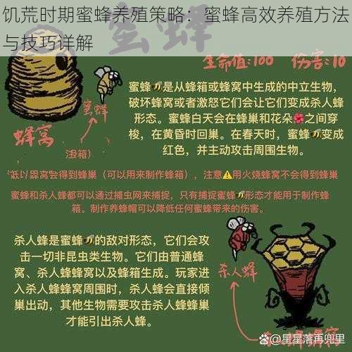 饥荒时期蜜蜂养殖策略：蜜蜂高效养殖方法与技巧详解