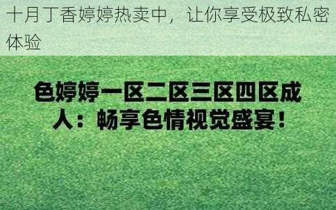 十月丁香婷婷热卖中，让你享受极致私密体验