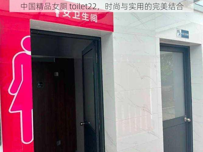 中国精品女厕 toilet22，时尚与实用的完美结合