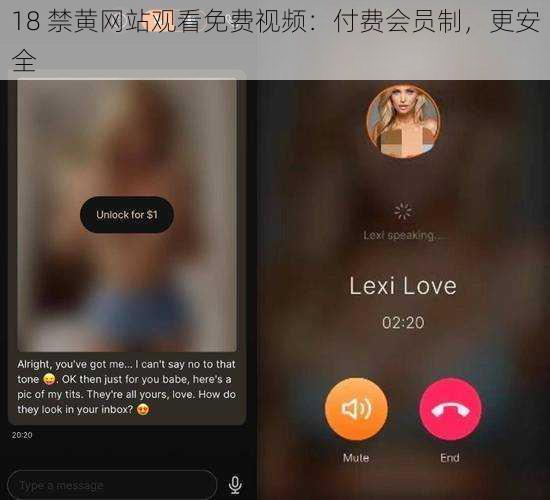 18 禁黄网站观看免费视频：付费会员制，更安全