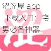 涩涩屋 app 下载入口：宅男必备神器