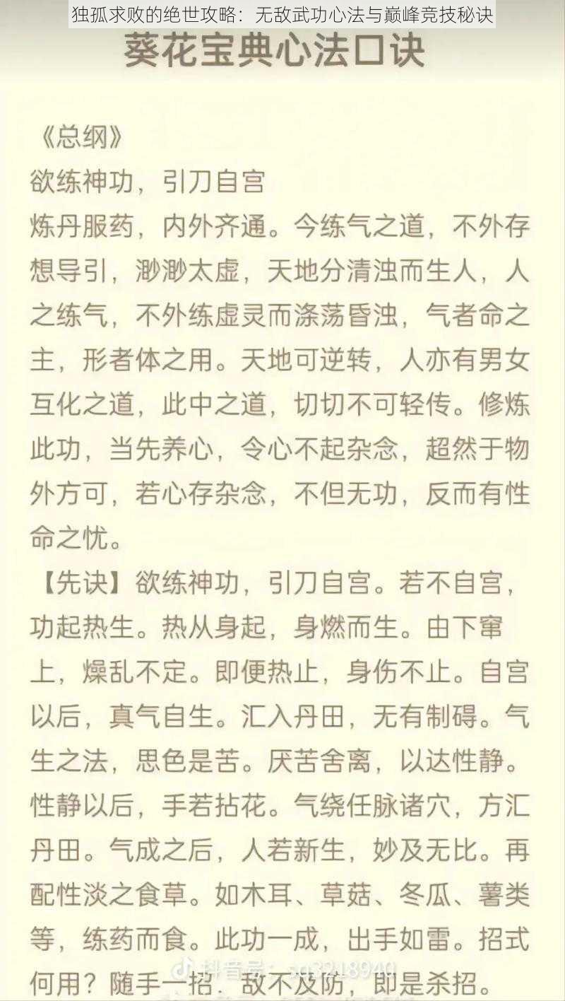 独孤求败的绝世攻略：无敌武功心法与巅峰竞技秘诀