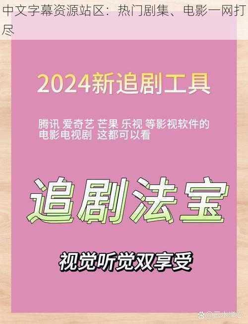 中文字幕资源站区：热门剧集、电影一网打尽