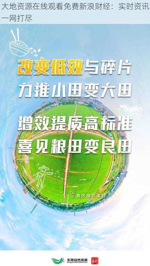 大地资源在线观看免费新浪财经：实时资讯一网打尽