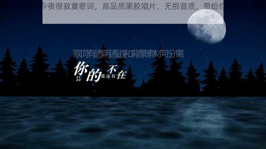 我叫小莫我今夜很寂寞歌词，高品质黑胶唱片，无损音质，带给你极致听觉享受