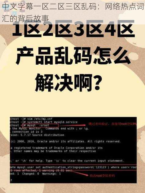 中文字幕一区二区三区乱码：网络热点词汇的背后故事