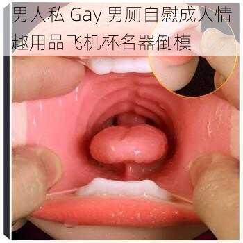 男人私 Gay 男厕自慰成人情趣用品飞机杯名器倒模