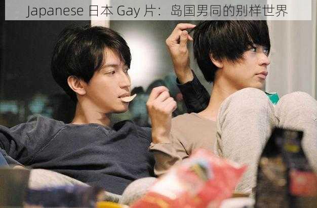 Japanese 日本 Gay 片：岛国男同的别样世界