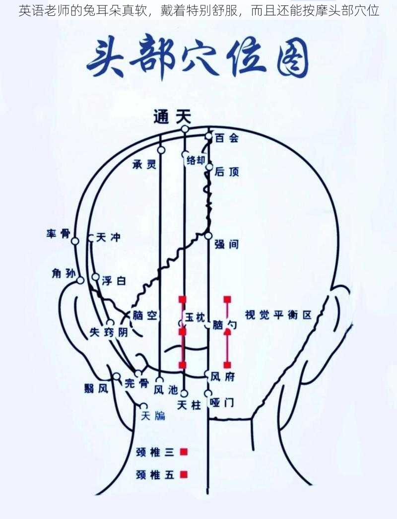 英语老师的兔耳朵真软，戴着特别舒服，而且还能按摩头部穴位