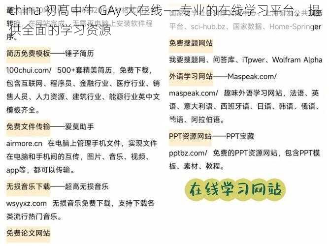 china 初髙中生 GAy 大在线——专业的在线学习平台，提供全面的学习资源