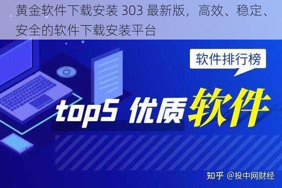 黄金软件下载安装 303 最新版，高效、稳定、安全的软件下载安装平台