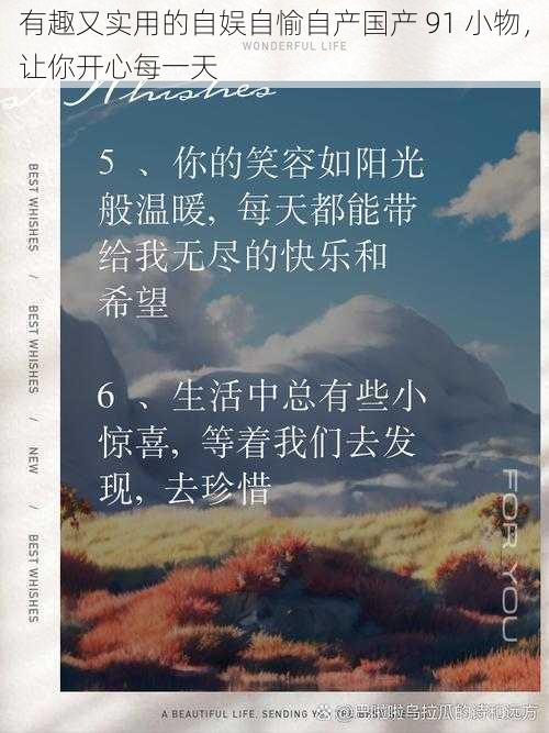 有趣又实用的自娱自愉自产国产 91 小物，让你开心每一天