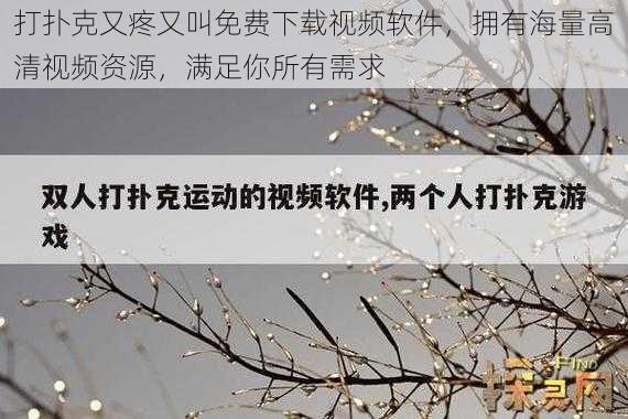 打扑克又疼又叫免费下载视频软件，拥有海量高清视频资源，满足你所有需求