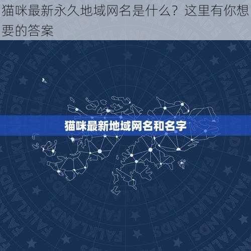 猫咪最新永久地域网名是什么？这里有你想要的答案