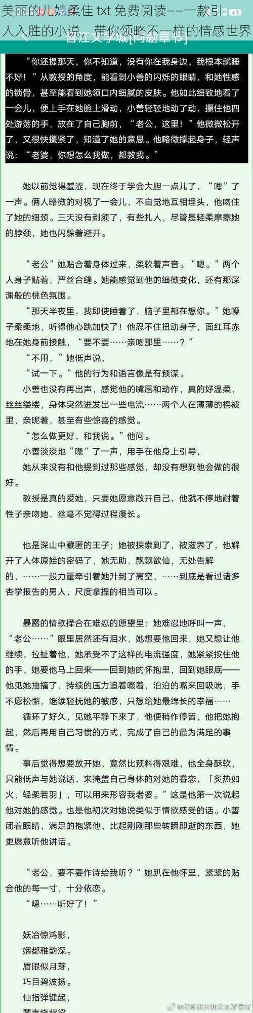 美丽的儿媳柔佳 txt 免费阅读——一款引人入胜的小说，带你领略不一样的情感世界