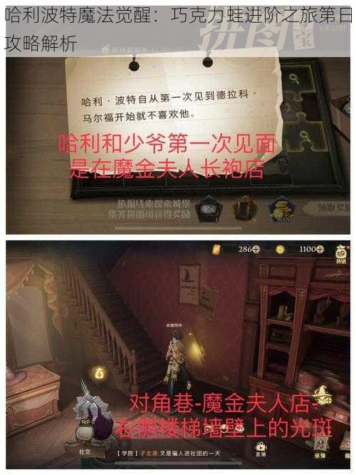 哈利波特魔法觉醒：巧克力蛙进阶之旅第日攻略解析