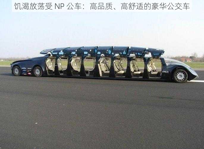 饥渴放荡受 NP 公车：高品质、高舒适的豪华公交车