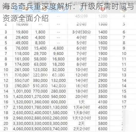 海岛奇兵重深度解析：升级所需时间与资源全面介绍