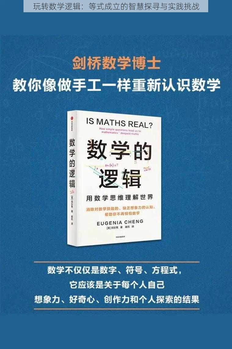 玩转数学逻辑：等式成立的智慧探寻与实践挑战