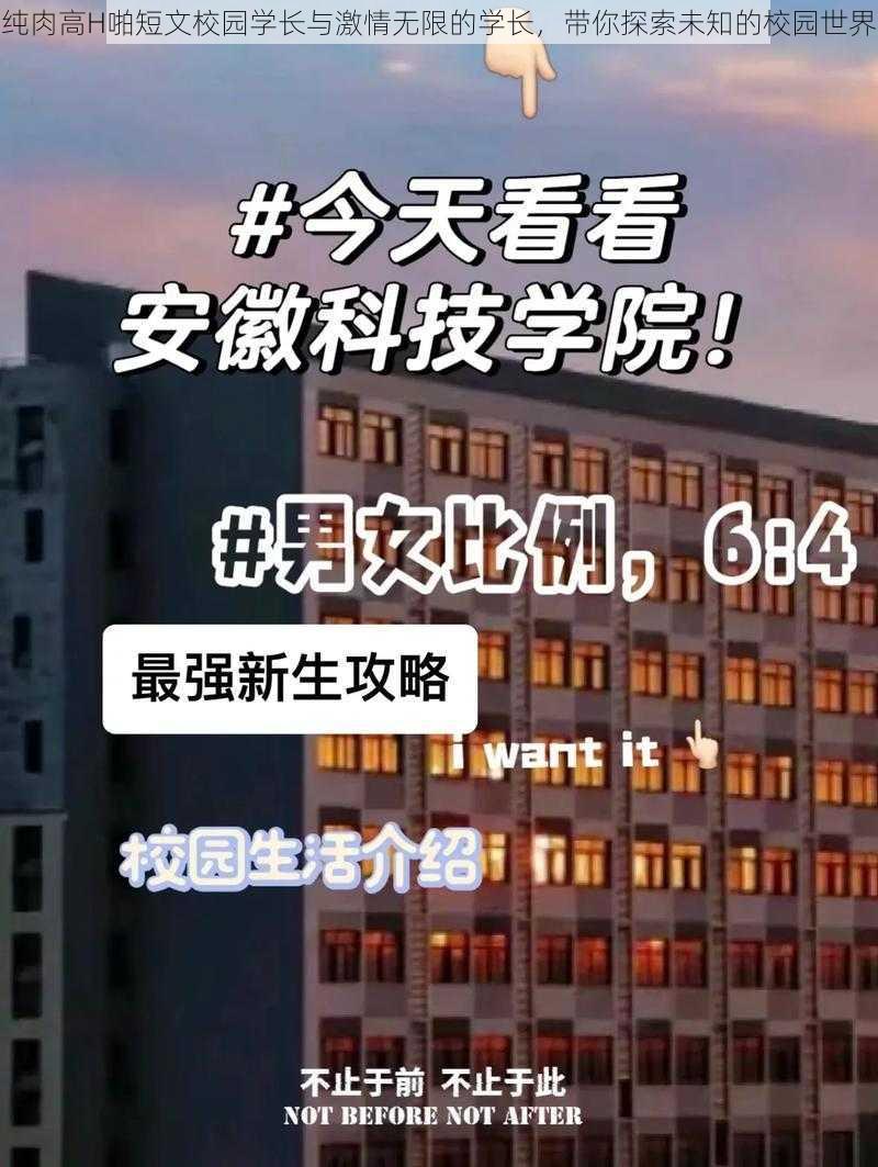 纯肉高H啪短文校园学长与激情无限的学长，带你探索未知的校园世界