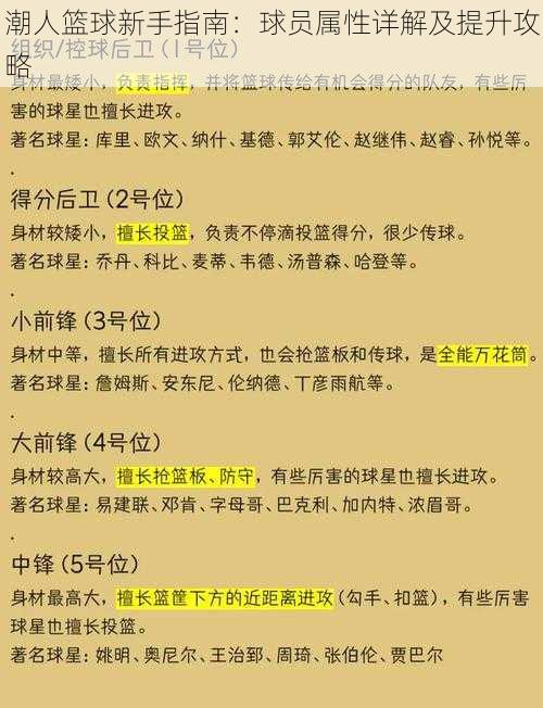 潮人篮球新手指南：球员属性详解及提升攻略