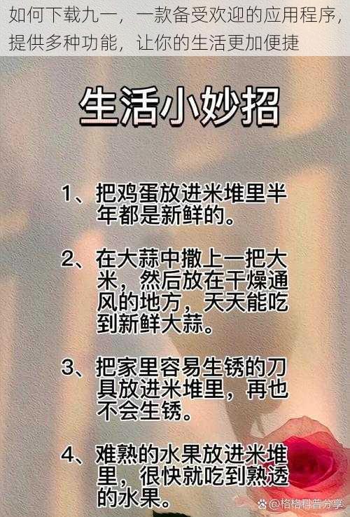 如何下载九一，一款备受欢迎的应用程序，提供多种功能，让你的生活更加便捷