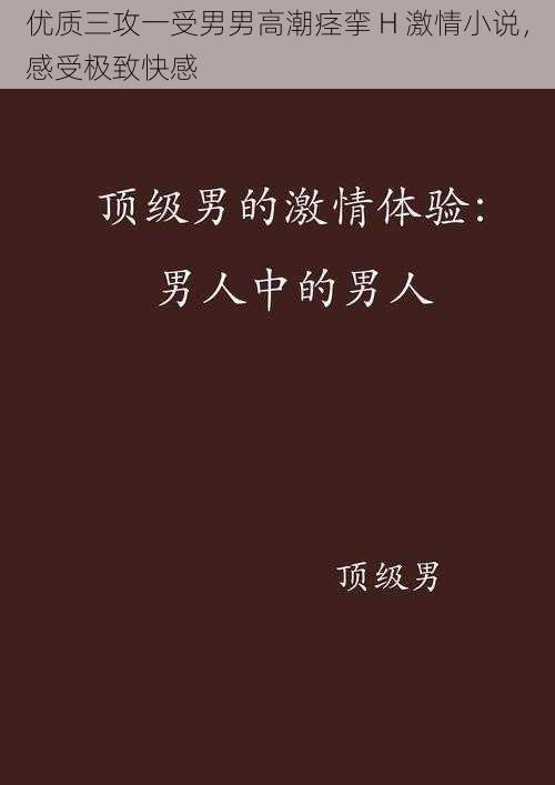 优质三攻一受男男高潮痉挛 H 激情小说，感受极致快感