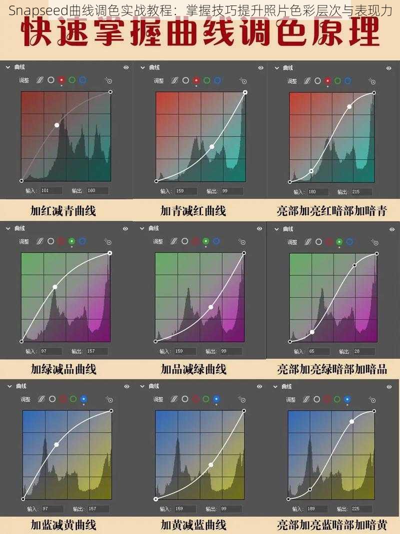 Snapseed曲线调色实战教程：掌握技巧提升照片色彩层次与表现力