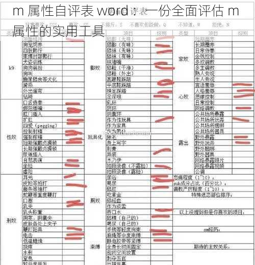 m 属性自评表 word ：一份全面评估 m 属性的实用工具