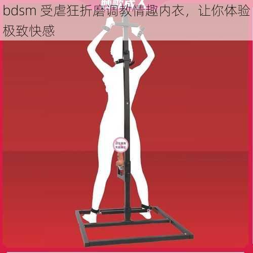 bdsm 受虐狂折磨调教情趣内衣，让你体验极致快感