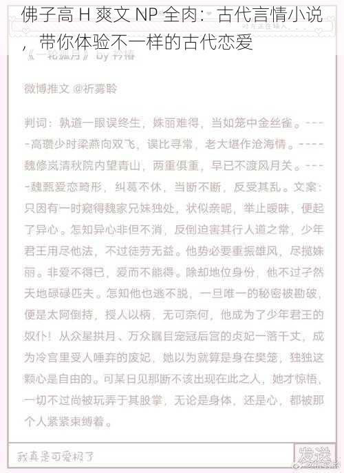 佛子高 H 爽文 NP 全肉：古代言情小说，带你体验不一样的古代恋爱