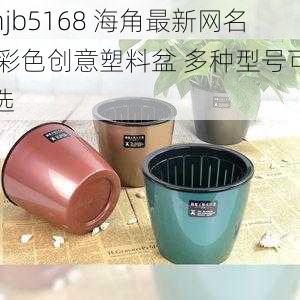 hjb5168 海角最新网名 彩色创意塑料盆 多种型号可选