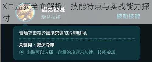 X国孟获全面解析：技能特点与实战能力探讨