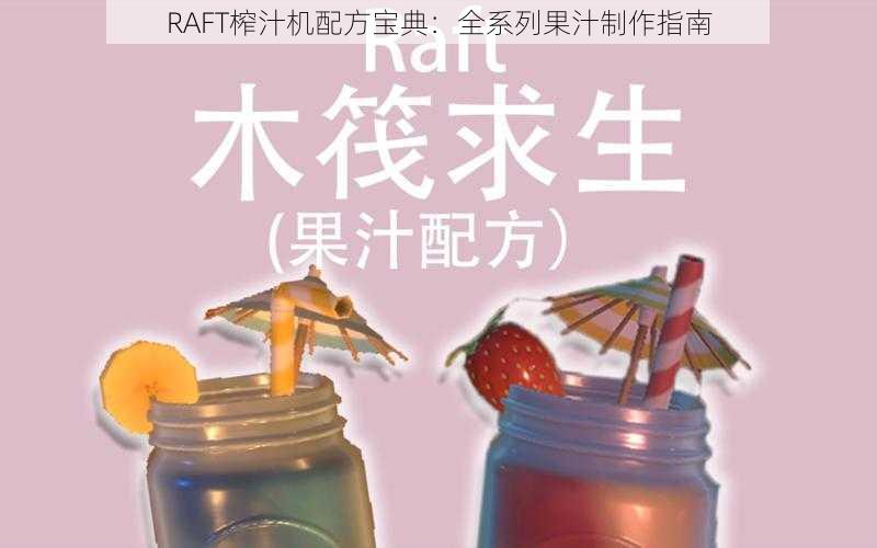 RAFT榨汁机配方宝典：全系列果汁制作指南