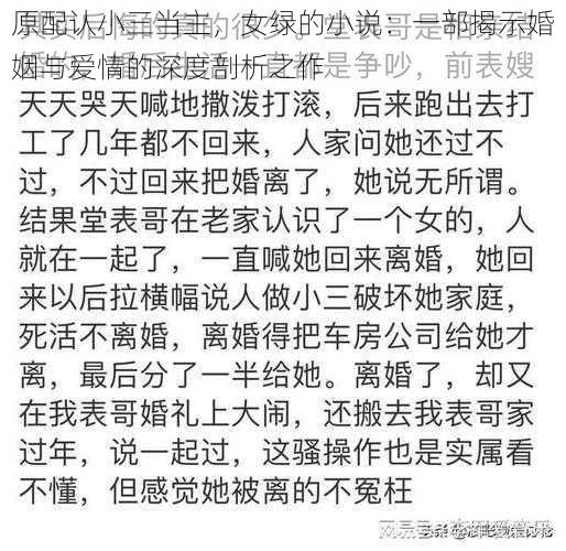 原配认小三当主，女绿的小说：一部揭示婚姻与爱情的深度剖析之作