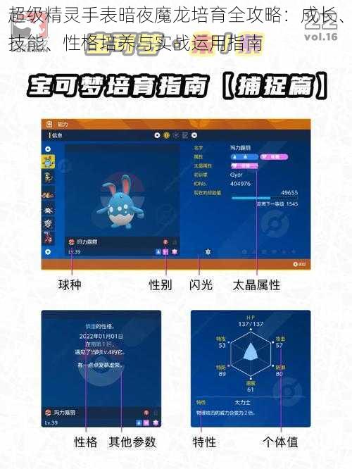 超级精灵手表暗夜魔龙培育全攻略：成长、技能、性格培养与实战运用指南