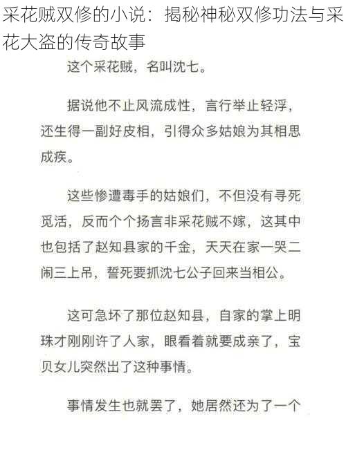 采花贼双修的小说：揭秘神秘双修功法与采花大盗的传奇故事