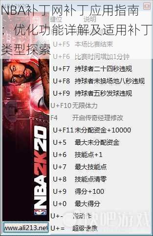 NBA补丁网补丁应用指南：优化功能详解及适用补丁类型探索