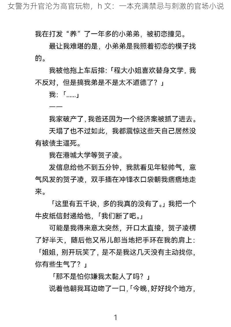 女警为升官沦为高官玩物，h 文：一本充满禁忌与刺激的官场小说